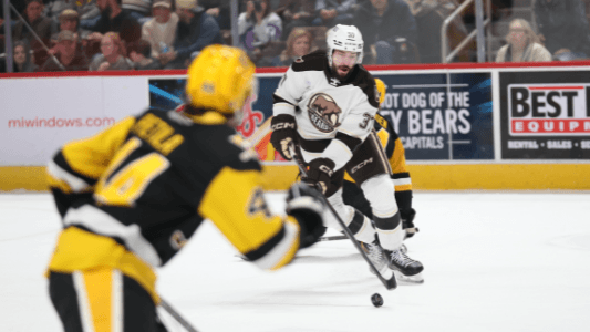 Hershey Bears player during a game at GIANT Center.