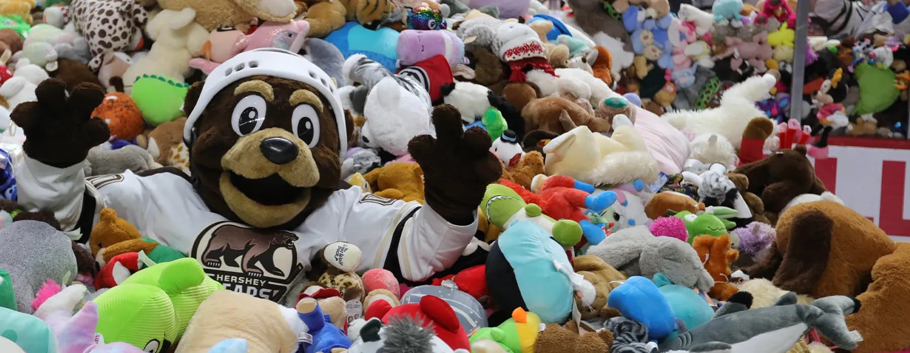 Coco the Bear surrounded by stuffed animals at the annual Teddy Bear Toss.