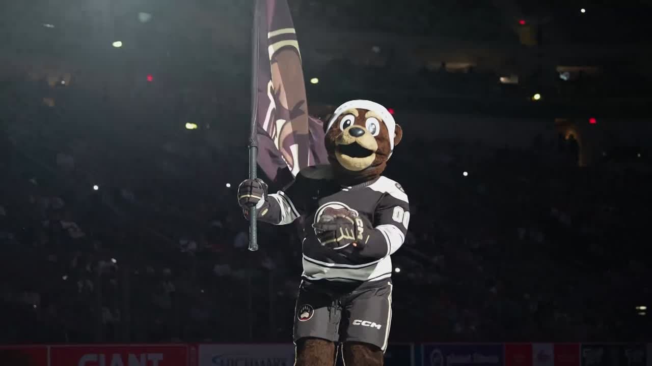 coco the bear holding a flag at giant center