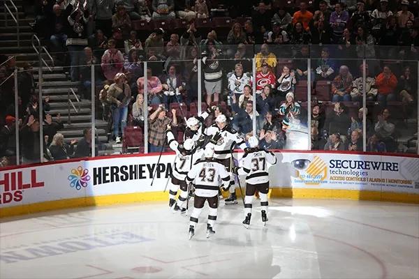 bears players on the ice celebrating