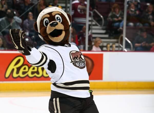 Coco The Bear on the ice at GIANT Center.