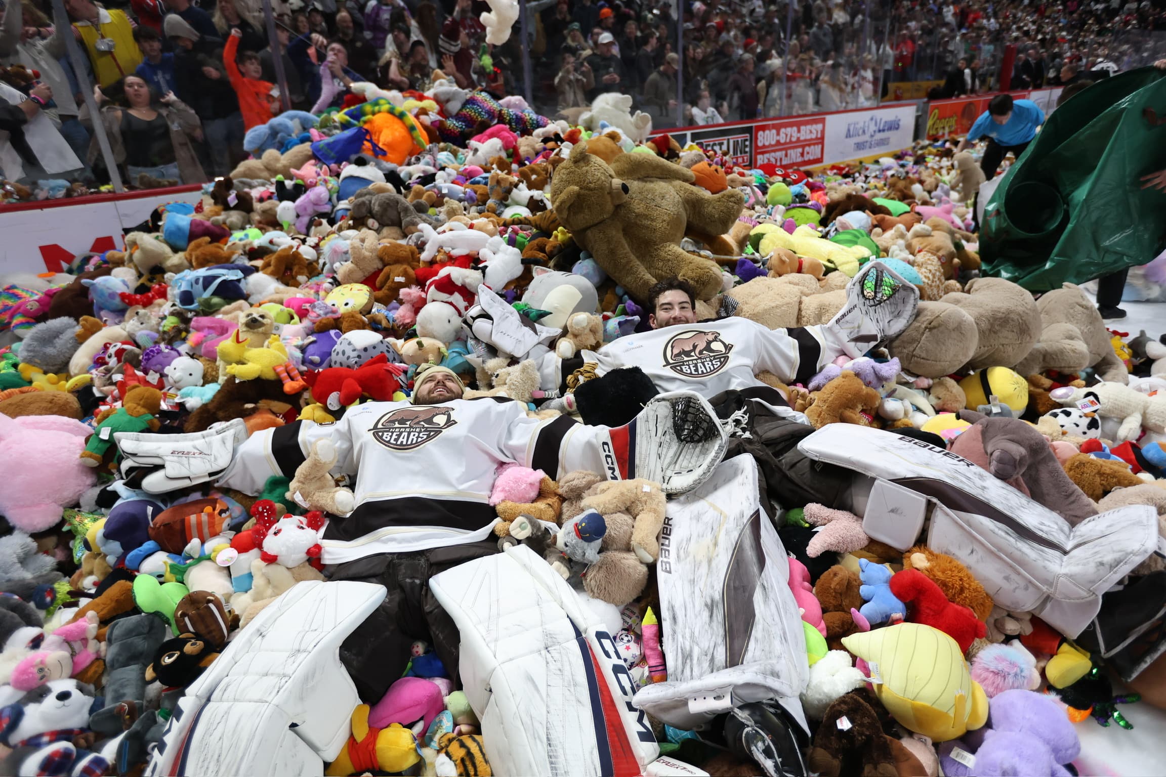 Teddy Bear Toss 01